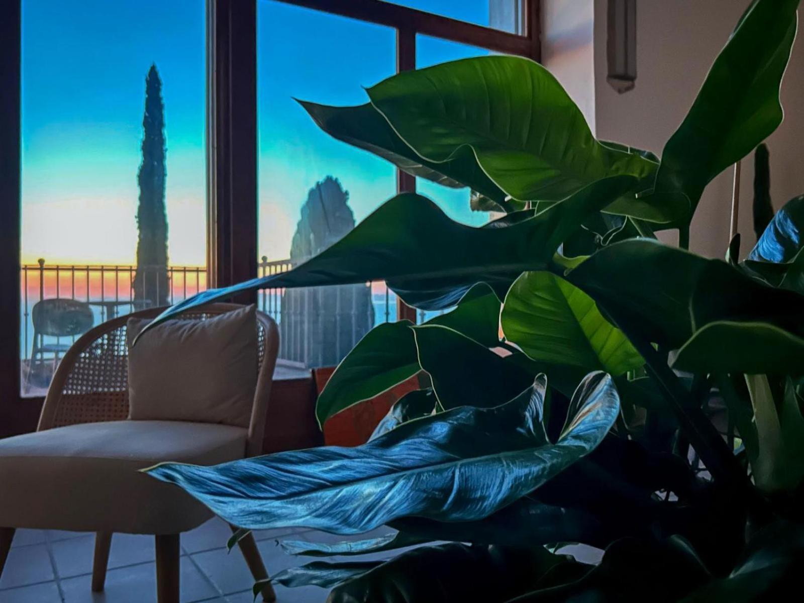 Villa Velta Sea Sunset Порто Санто Стефано Экстерьер фото